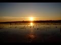 Chasse en argentine - Passée aux canards - Tirs de tourterelles -