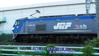 2019/09/16 JR貨物 夕方5時台 爆走通過する貨物3本 前検明け1ヶ月でもピカピカEF66-130号機
