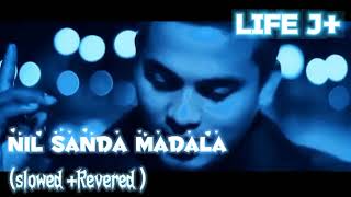 නිල් සද මඩල (nil sanda madala)slowed+Revered song#music #love