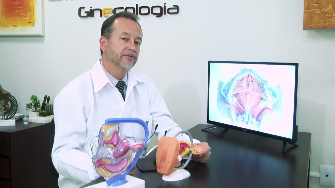 Cirurgia de Períneo YouTube Cirurgia de Períneo YouTube