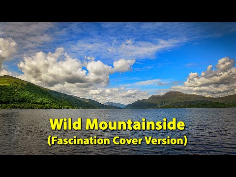 Wild Mountainside - {Trashcan Sinatras} Cover Version - Fascination Music