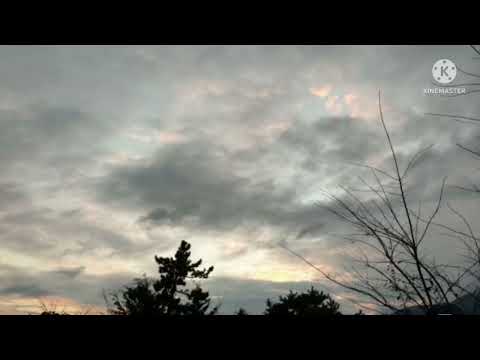 다시 만날 수 있을까. 임영웅 .플룻