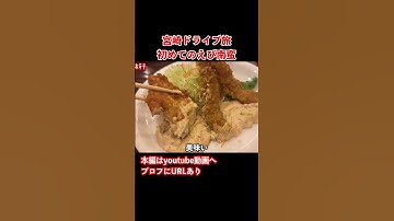 【宮崎観光】チキン南蛮美味い！宮崎のグルメと観光を堪能するドライブ旅行の思い出！#宮崎観光 #宮崎旅行 #九州旅行