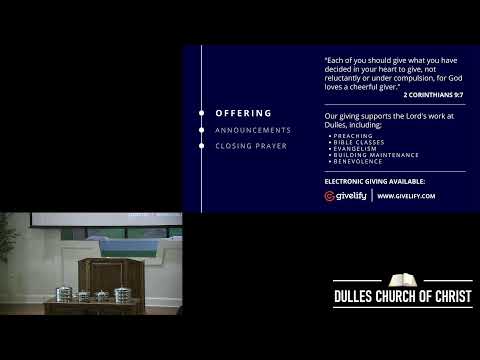 Video preview