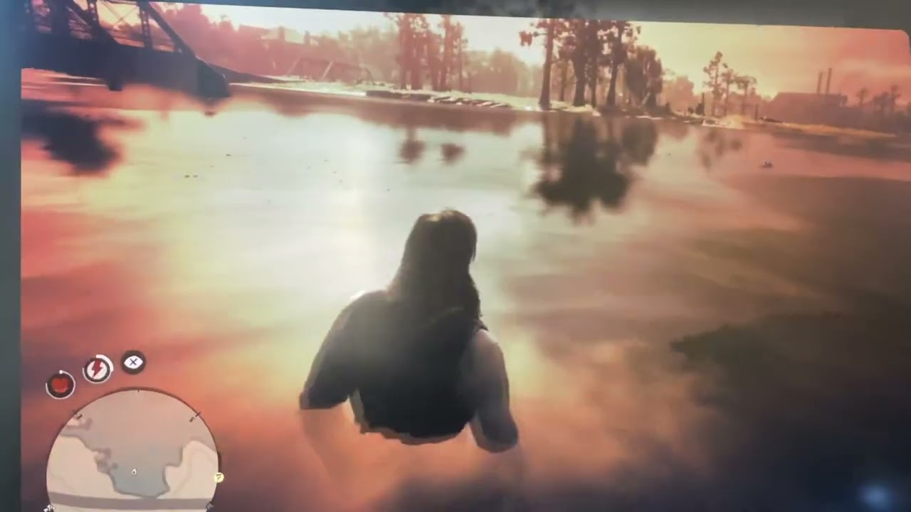 Alligator attacks Arthur in rdr2