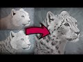 Painting Leopard in Acrylics | #timelapsepainting