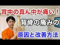 背中の真ん中が痛い！　背骨の痛みの原因と改善方法【東京都府中市　整体】