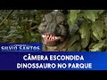 Dinossauro no Parque | Câmeras Escondidas (08/01/21)