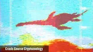 The Loch Ness DNA Sweep