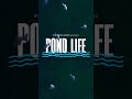 PROMO : Pond Life | Beyond Numbers and Reports | Fishery News Telugu