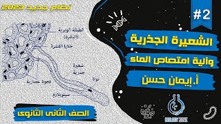 #2 | الشعيرة الجذرية والية امتصاص الماء - شرح درس التغذية الذاتية ج2 | احياء تانيه ثانوى الترم الاول