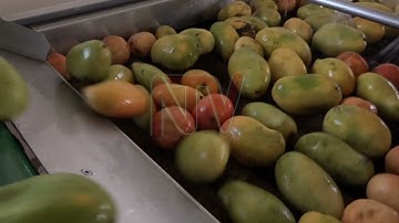 VALUE ADDITION: Soroti fruit factory rolls out mango production line