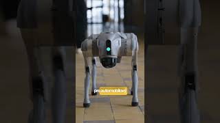 SOŠ v Šaci sa mení na stredoškolský kampus