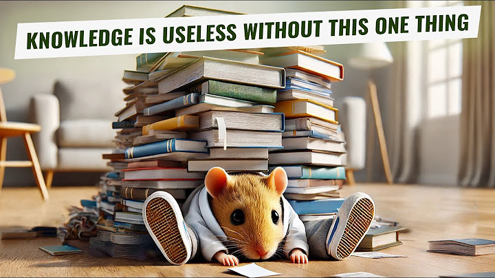 Hamster Feed: Why Rich People Study Differently