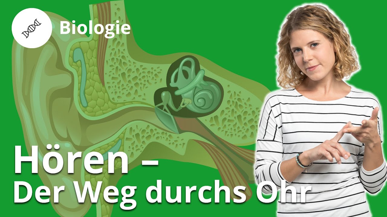 Hören – unser wichtigster Sinn