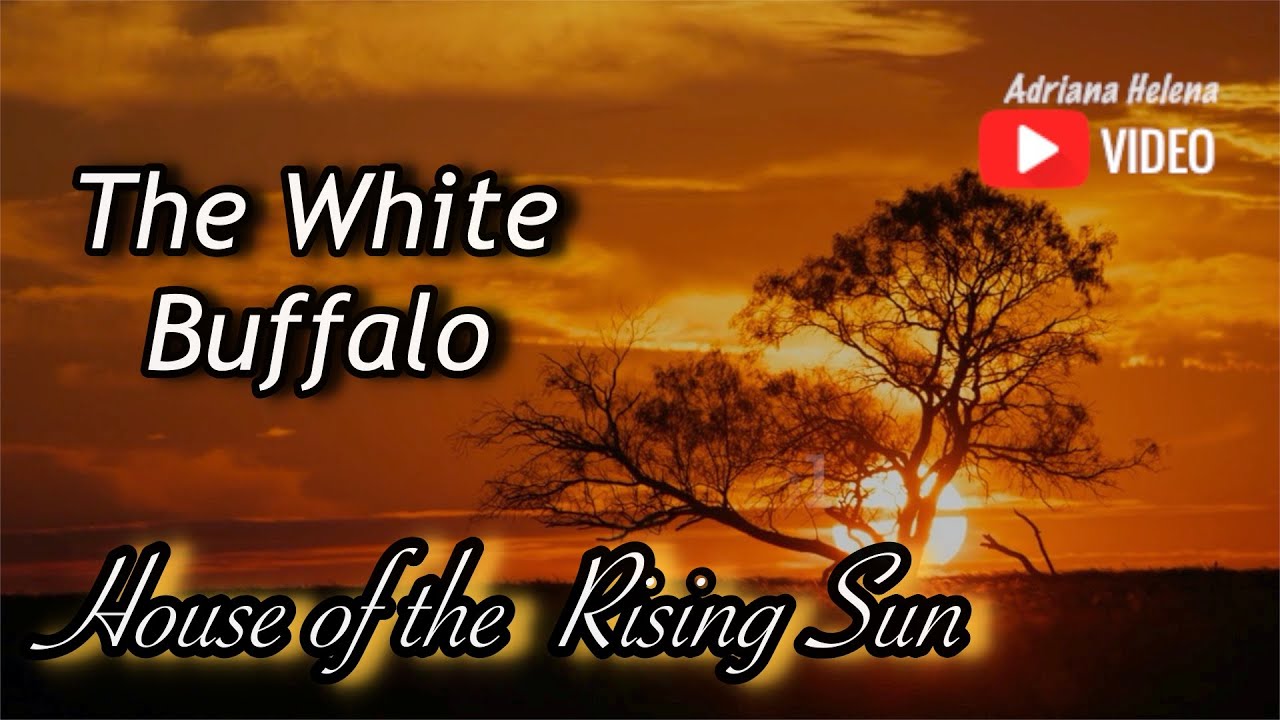 The House Of Rising Sun - White Buffalo - Cifra 