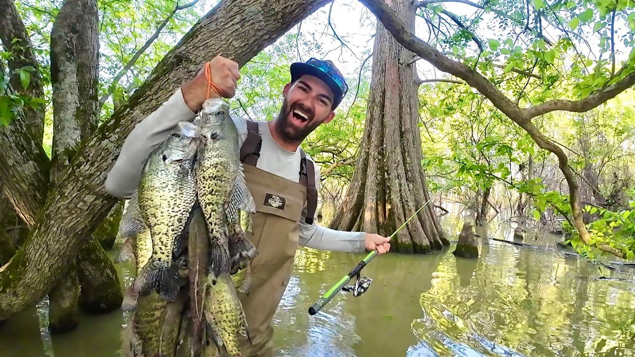 Wade Fishing for HUGE Spawning Crappie 