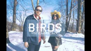 If Birds Could Fly Sweet Child O Mine Cover YouTube