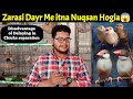 Disadvantage of delaying in Java self chicks separation | Java Sparrow | java finch | java birds