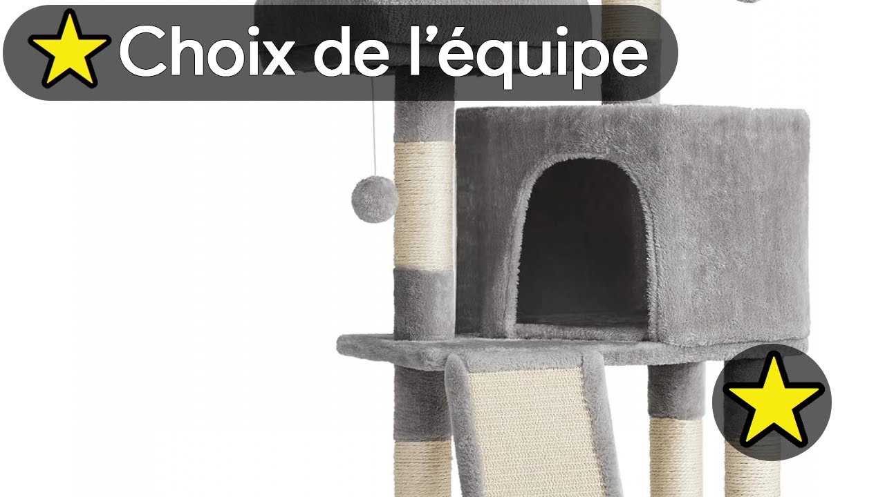 🏆 TOP 3 ARBRE A CHAT POUR UN SEUL CHAT 2025 🌳