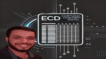 Como gerar relatórios da ECD com Excel VBA