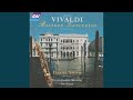 Miniature de la vidéo de la chanson Concerto For Bassoon And Orchestra No. 28 In C Major, Rv 466: Iii. Allegro