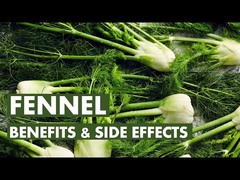 Video: Vegetable Fennel, Features And Useful Properties, Cultivation And Recipes