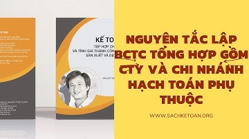 Nguyên Tắc Lập Báo Cáo Tài Chính Tổng Hợp Của Cty Và Chi Nhánh Phụ Thuộc