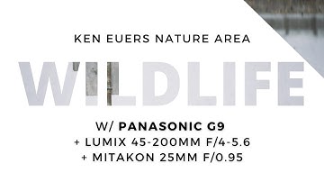 Wildlife on Panasonic Lumix G9