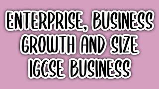Enterprise, Business Growth and Size (#3) | IGCSE BUSINESS STUDIES (0450)