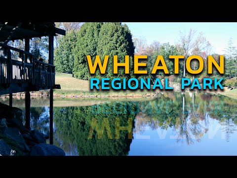 Video: I-explore ang Wheaton Regional Park sa Wheaton, Maryland