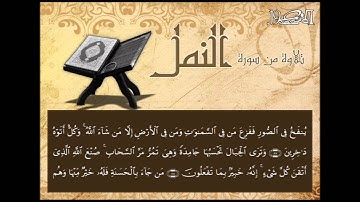 تلاوة من سورة النمل للقارئ الشيخ   اسامة بن علي الغانم