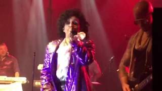 The Prince Experience - Little Red Corvette chords