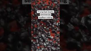 Deep #sea rocks could power our green #energy future, but mining them risks #ecosystems.