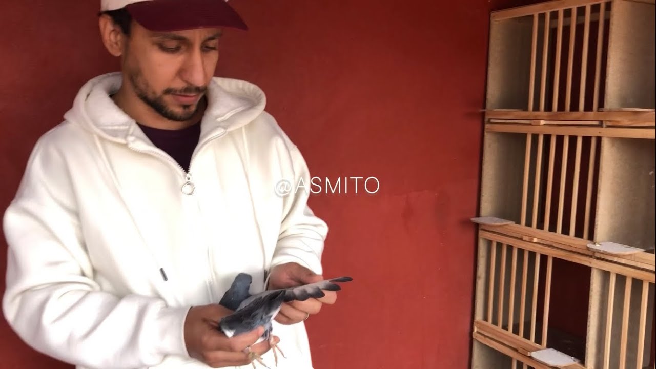 ولاعة بإمتياز مع الشباب المجتهدين في مراكش