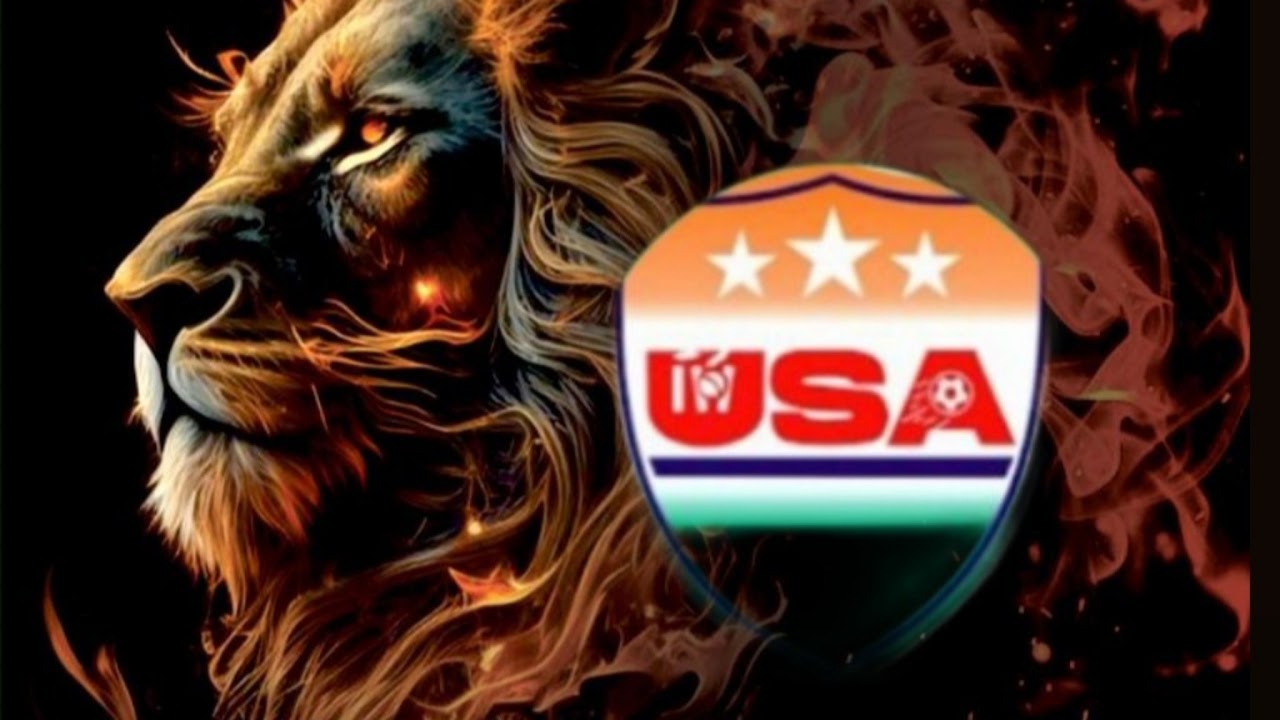 THE PHOENIX SQUAD vs RISING WOLVES live cricket match | 25-Jan-26 11:42 AM 20 live - Individual