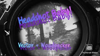 Beta Overpower gamplay with Vector and Woodpecker# EvanEstar.