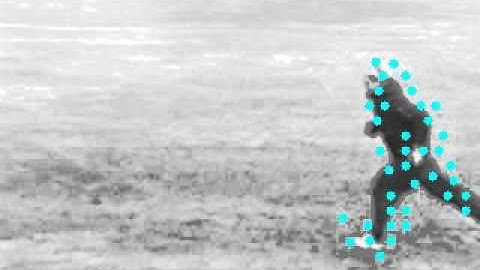 Fast 3D Extension of Fast Feature Detection for SpatioTemporal Corner Detection video2