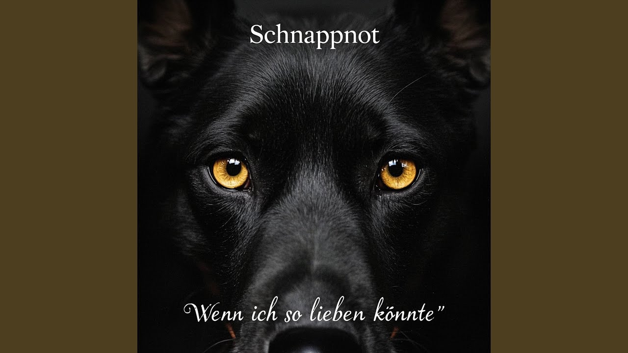 Wenn ich so lieben könnte