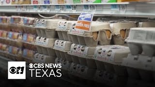 Egg prices decrease, while gas prices in North Texas see overnight increase