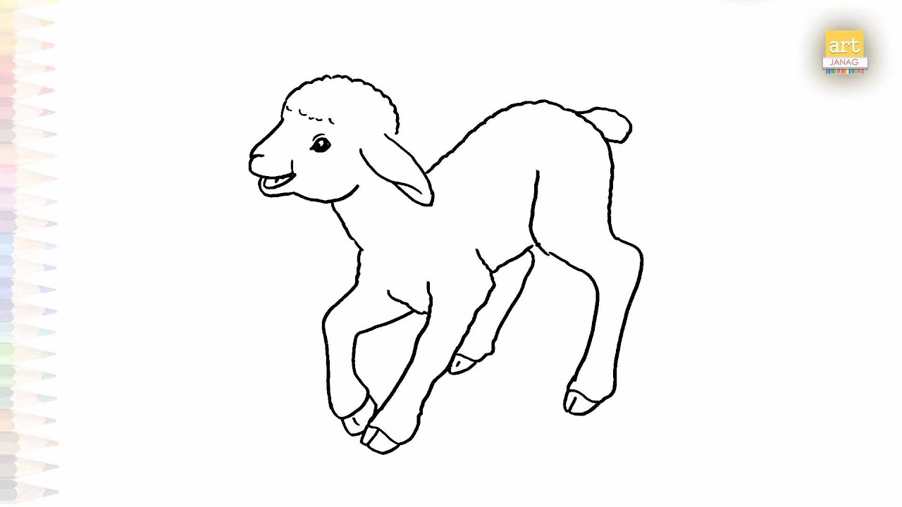 Lamb drawings easy | Art tutorial | How to draw A Lamb step by step ...