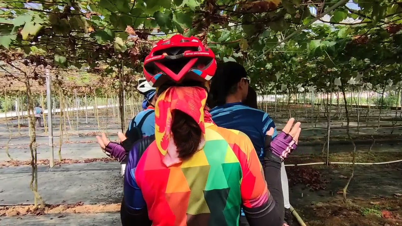 Gopeng - Ipoh - Taiping Cycling Trip, Part 2