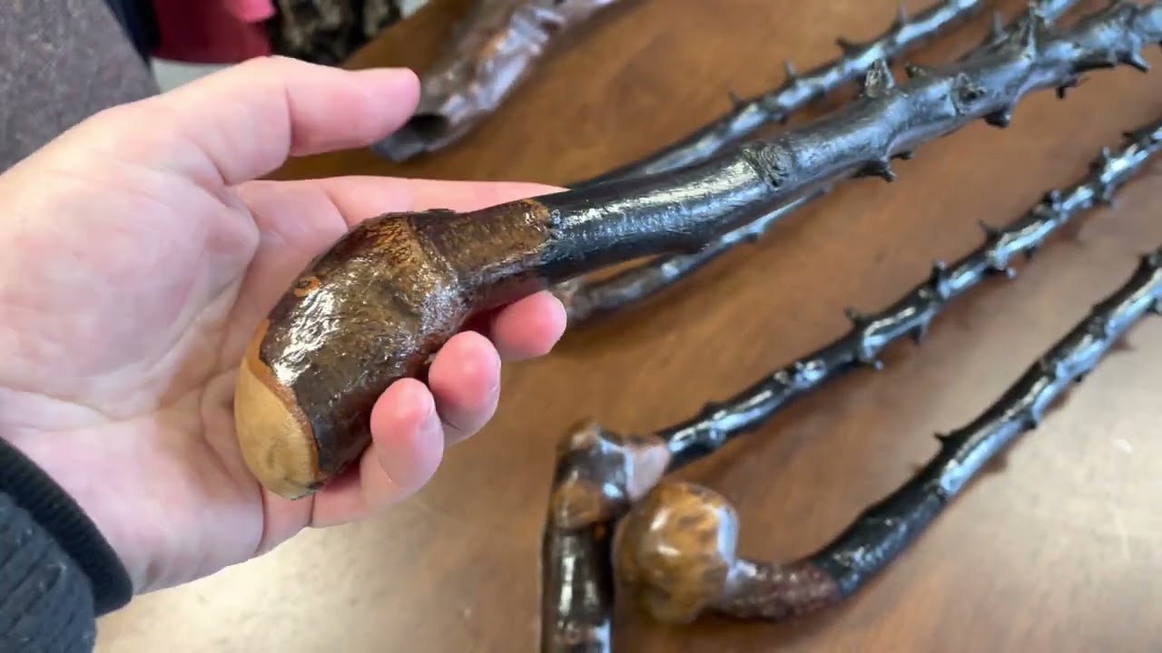 Blackthorn Walking sticks with Thorns