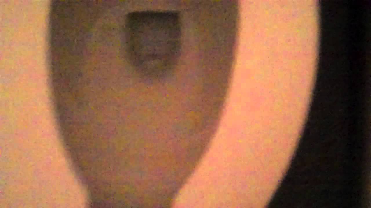 2839: 2009 ProFlo Pressure Assist Toilet - YouTube