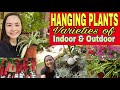 25 VARIETIES OF HANGING PLANTS   + 16 VARIETIES OF INDOOR HANGING PLANTS + PLANTS IDENTIFICATION