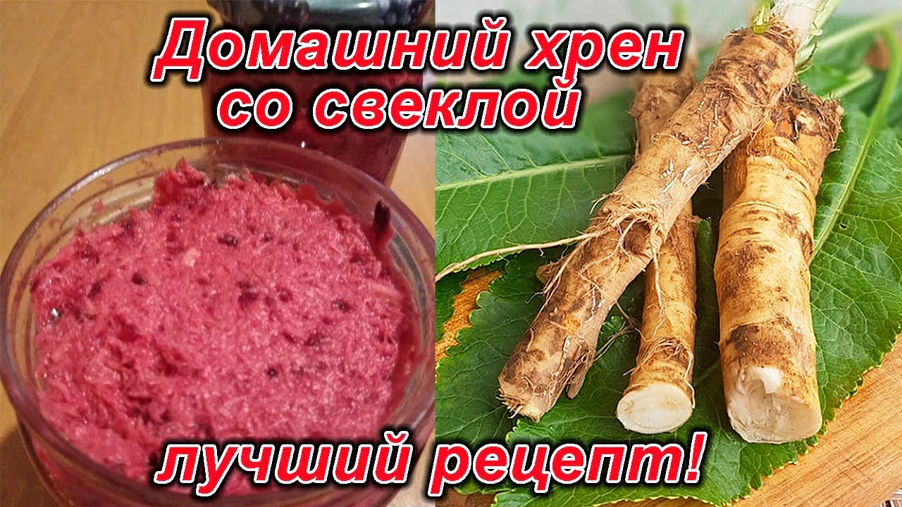 Корень хрена в домашних условиях