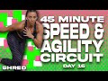 45 Minute Speed and Agility Circuit NO EQUIPMENT NEEDED Workout | SHRED - Day 16