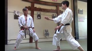 Get hip with roundhouse kick -  Rick Hotton sensei, Petaluma 2026