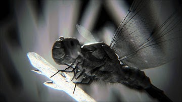 Unreal Engine 4 - PostProcess Matinee