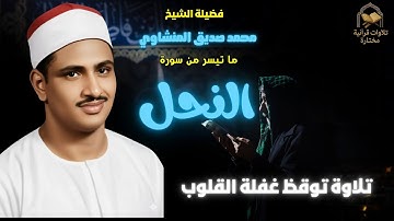 فضيلة الشيخ محمد صديق المنشاوي ما تيسر من سورة النحل قمة الجمال لاول مرة جودة عالية